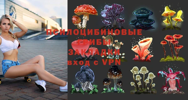 герыч Алексин