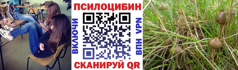 Псилоцибиновые грибы Psilocybine cubensis Камешково