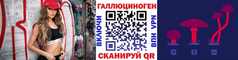 Псилоцибиновые грибы Psilocybine cubensis  Камешково 